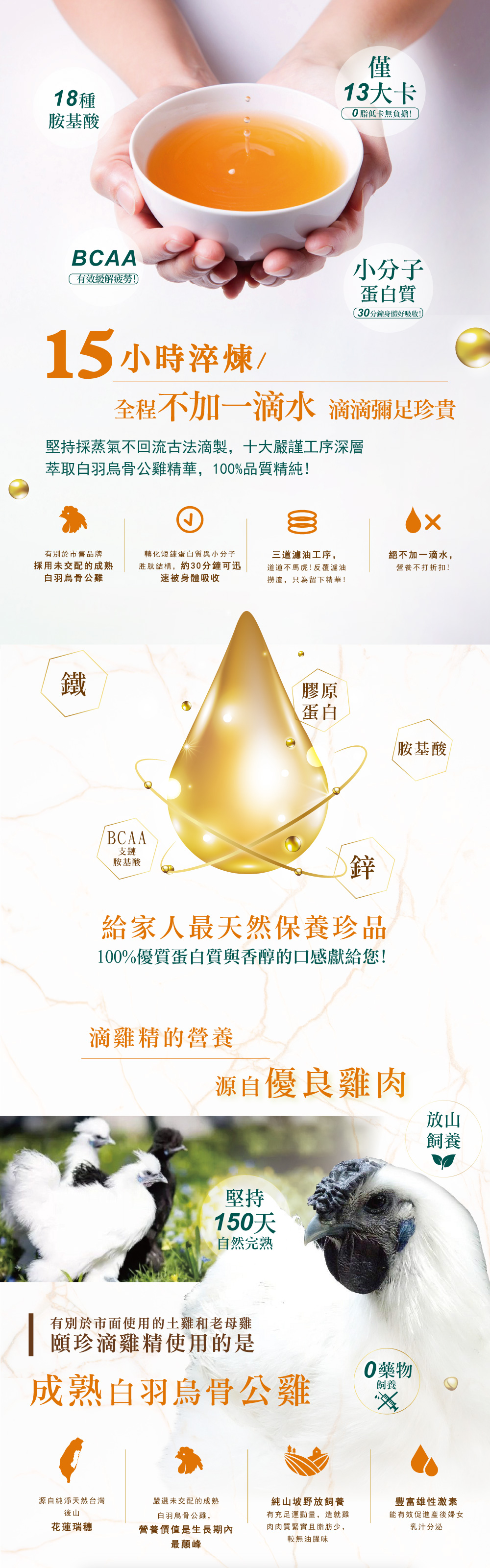 滴雞精 原味 白羽烏骨